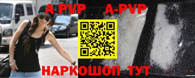 СК Моздок
