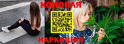 СК Моздок
